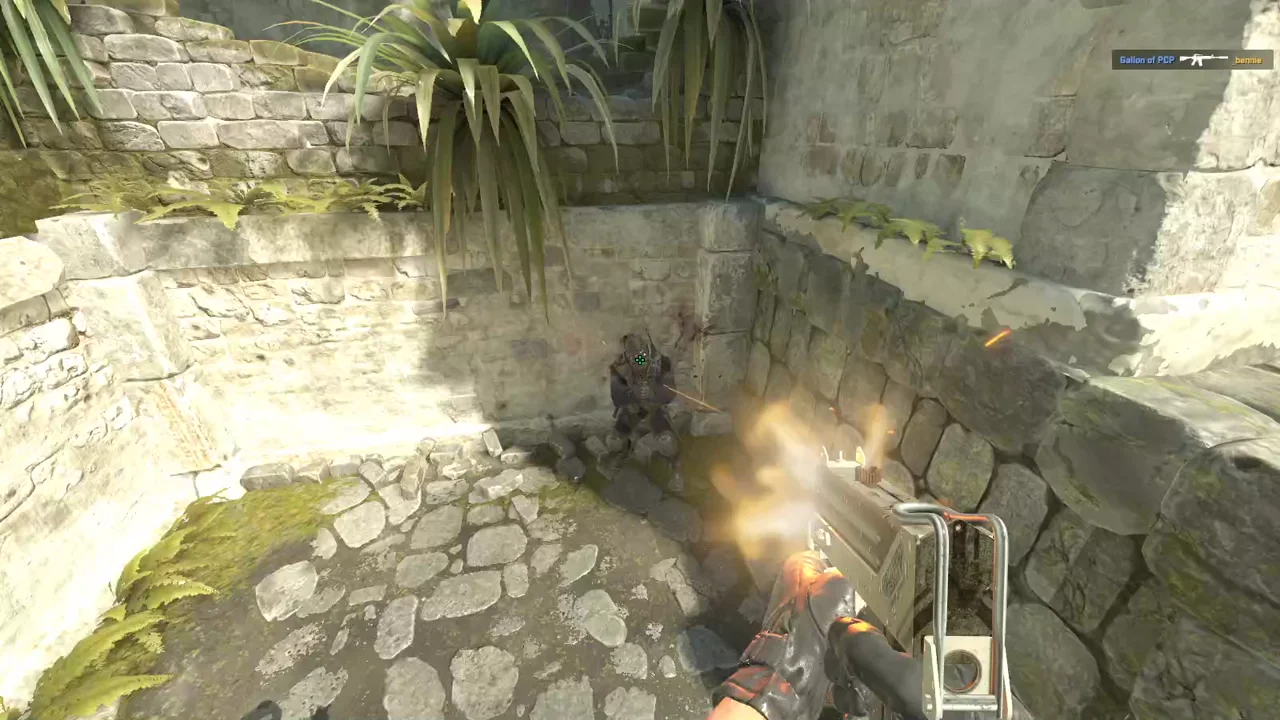 highlight